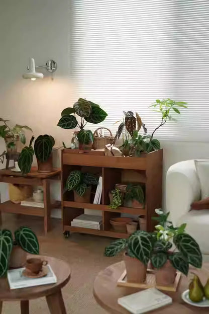 Multifunctional Foldable Table