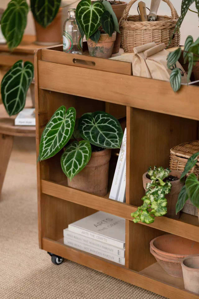 Multifunctional Foldable Table