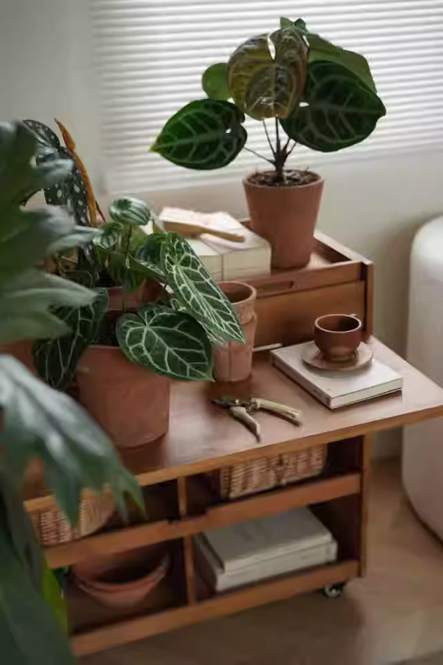 Multifunctional Foldable Table