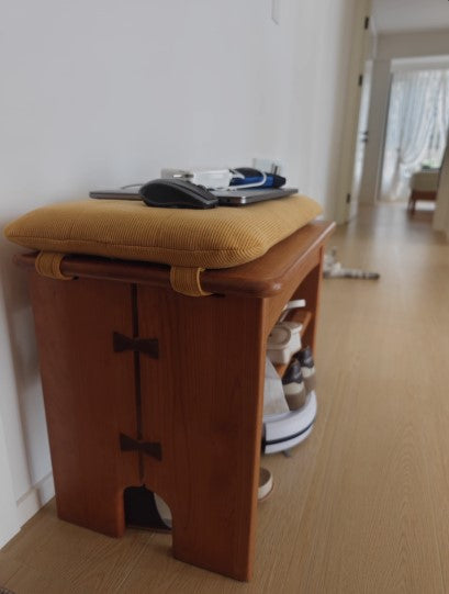 Shoes Stool and Clothes Hanger