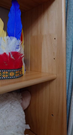 Adjustable Bookshelf