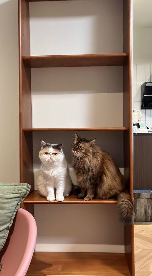 Adjustable Bookshelf